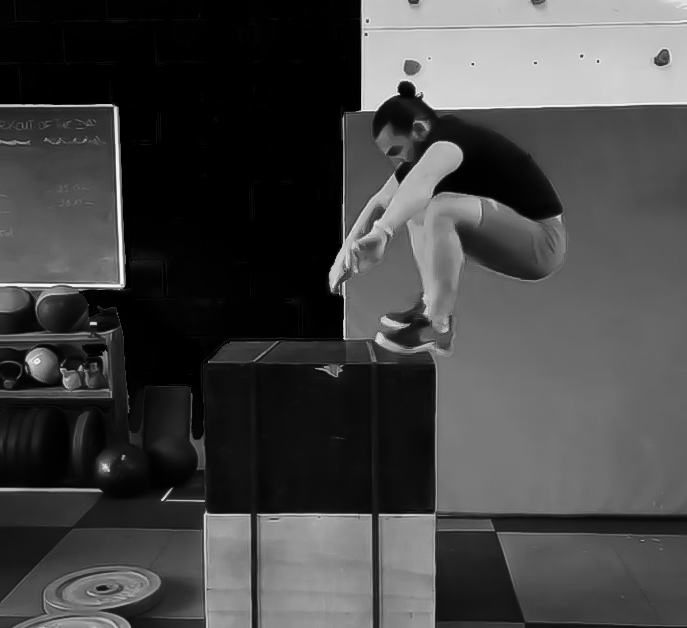 Box Jump Jungle Gym